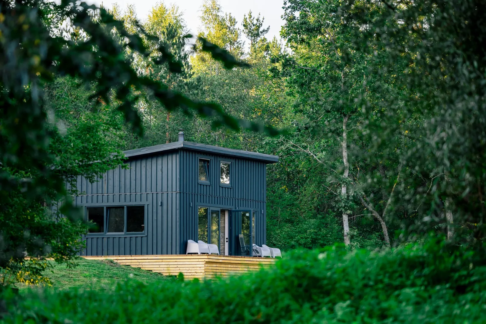 bilde ar pirti dienas gaisma